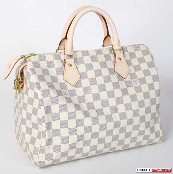 damier speedy